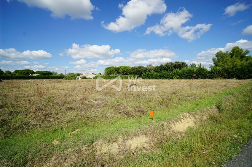 Image de terrain à Merville