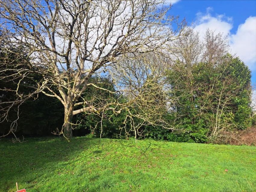 Image de terrain à Quimperlé