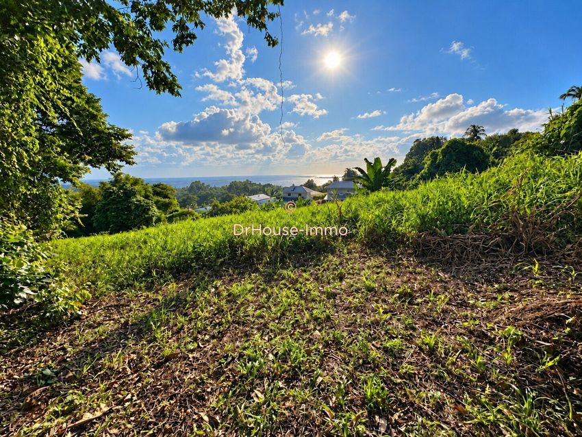 Image de terrain à Le Lamentin