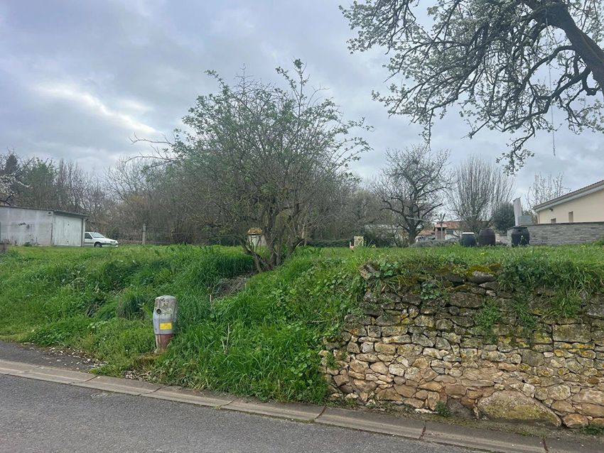 Image de terrain à Civaux