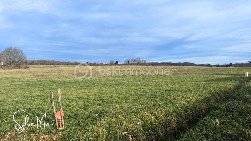 Image de terrain à Saint-Georges