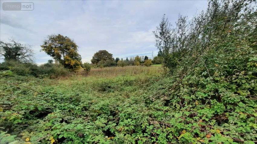 Image de terrain à Luçay-le-Mâle