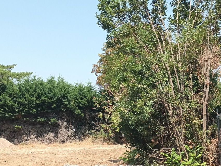 Image de terrain à Nieul-sur-Mer
