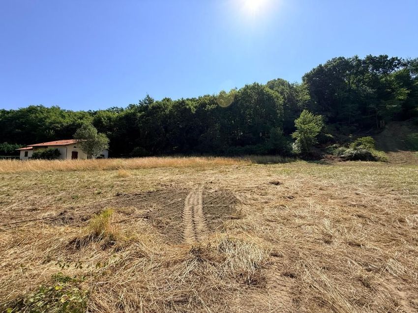 Image de terrain à Aire-sur-l'Adour