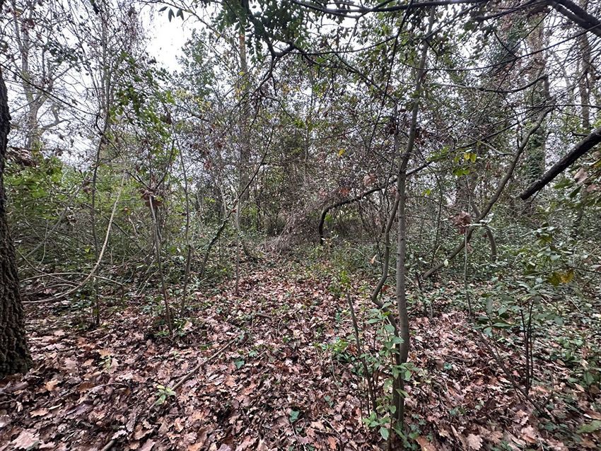 Image de terrain à Villemoustaussou
