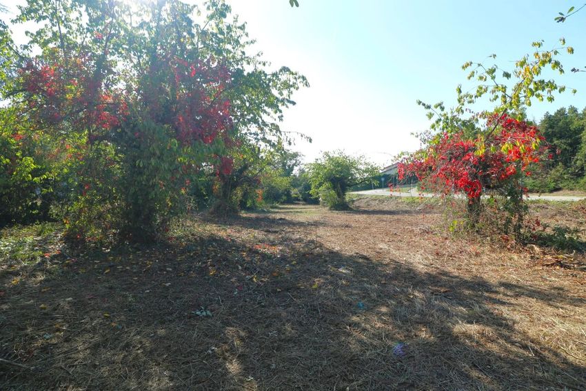 Image de terrain à Sans numéro Rue Grande Charriere