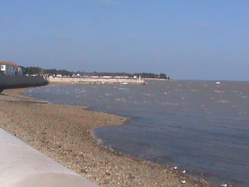 Image Vue à appartement de Rivedoux-Plage