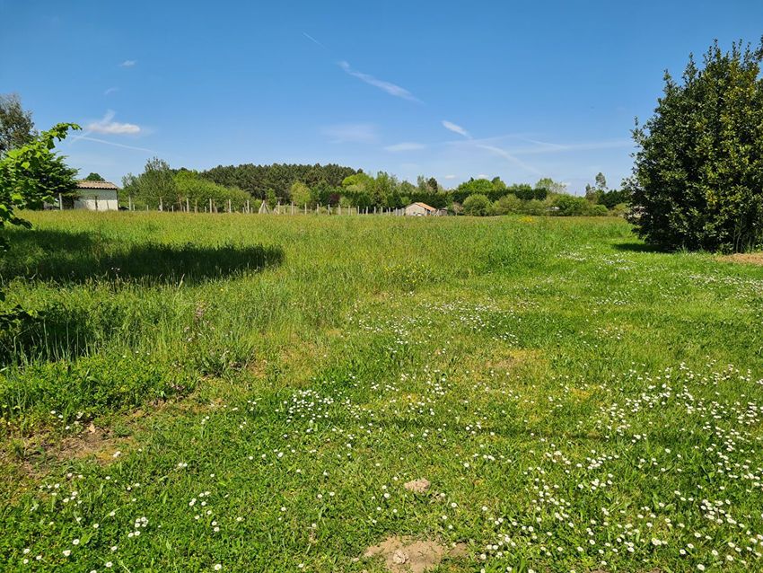 Image de terrain à Montpon-Ménestérol