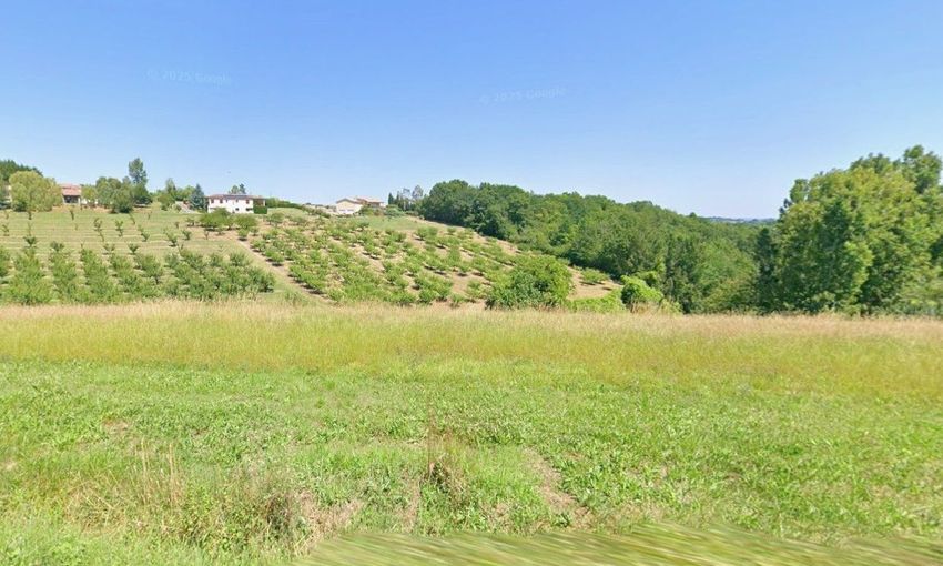 Image de terrain à Piquecos