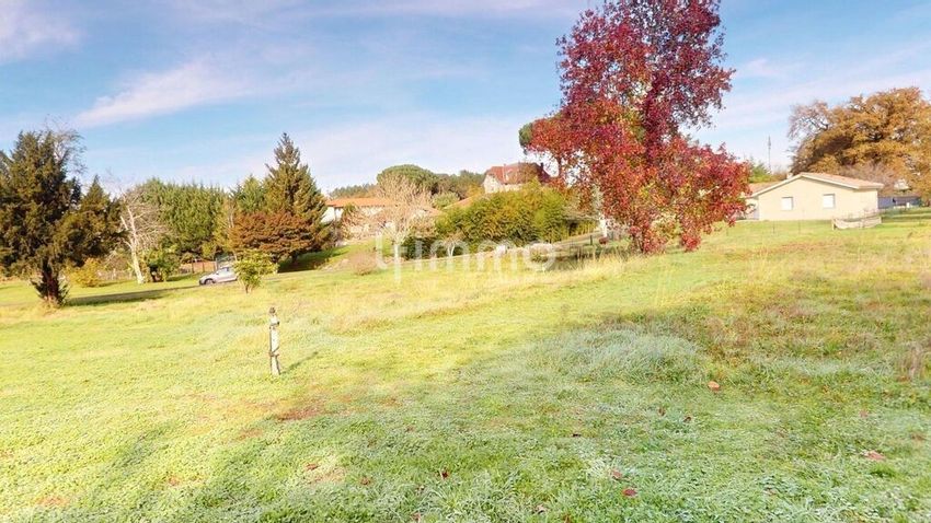 Image de terrain à Rion-des-Landes
