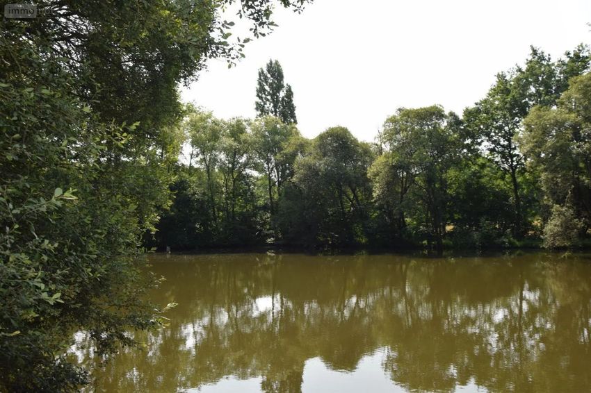 Image de terrain à Martigné-sur-Mayenne