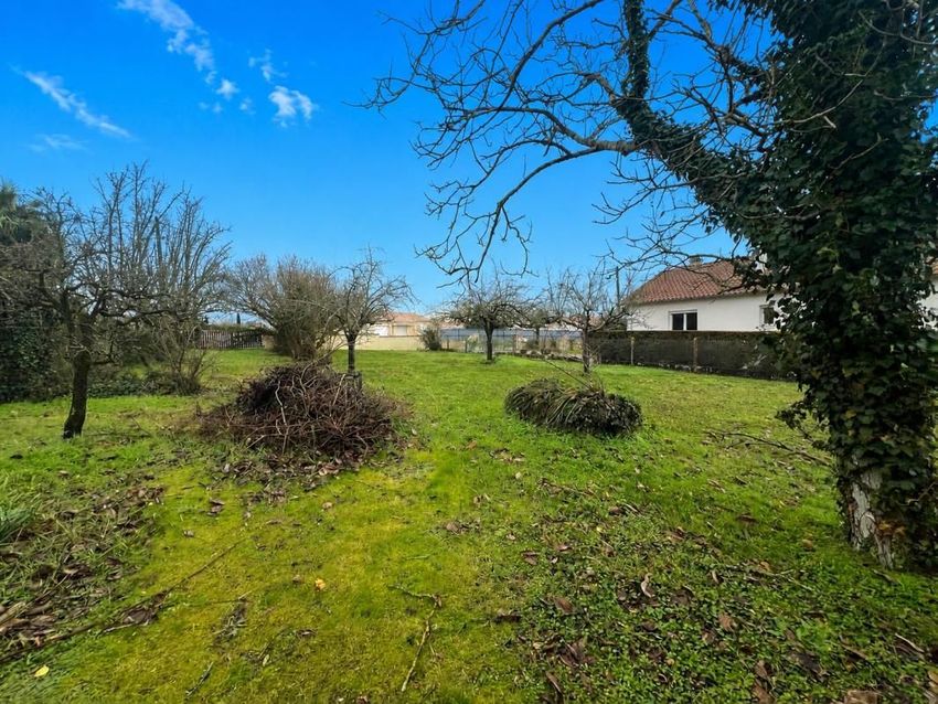 Image de terrain à Semussac