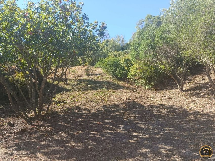 Image de terrain à Durban-Corbières