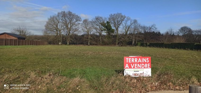 Image de terrain à Pleslin-Trigavou