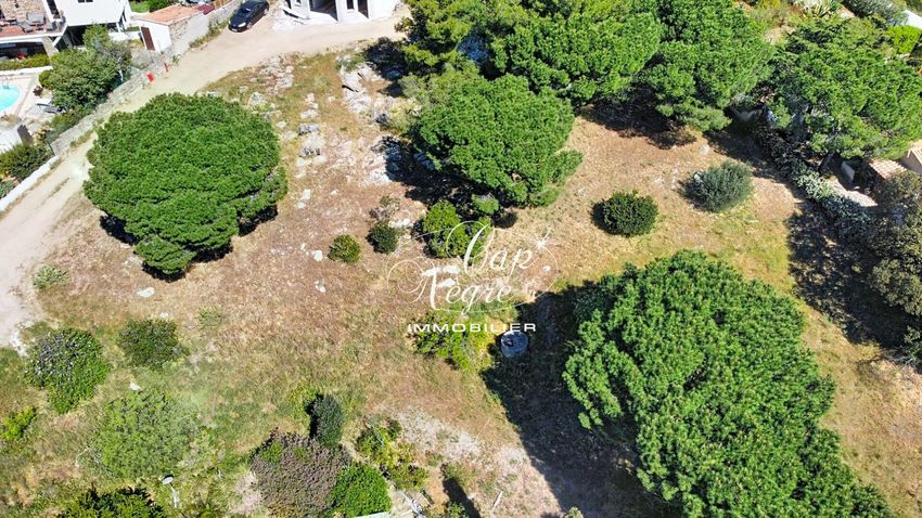 Image de terrain à Bormes-les-Mimosas