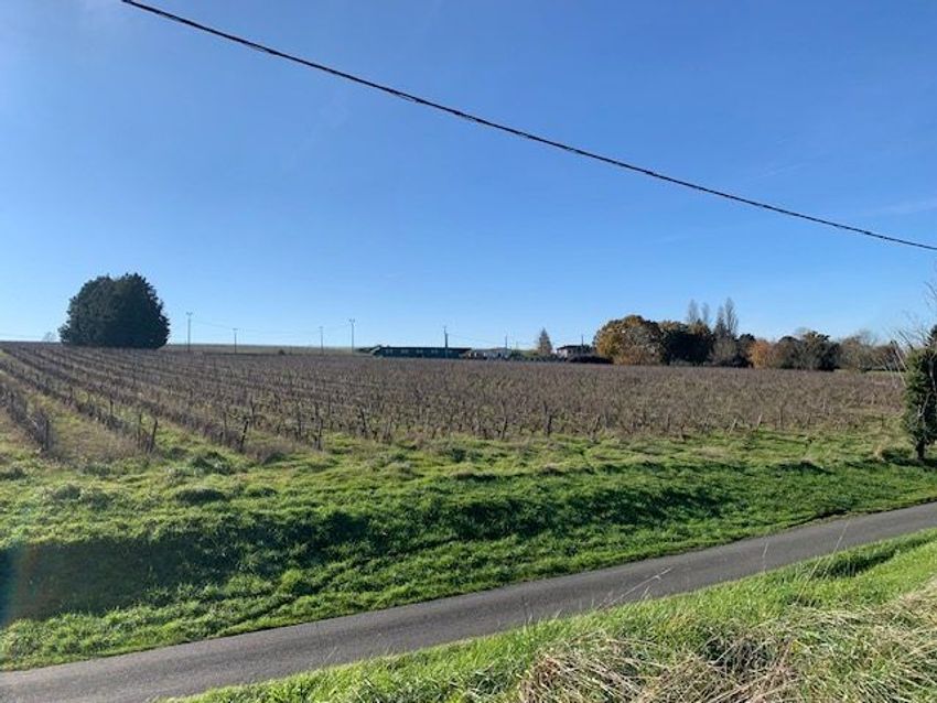 Image de terrain à Pessac-sur-Dordogne
