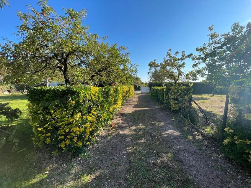 Image de terrain à Le Grand-Village-Plage
