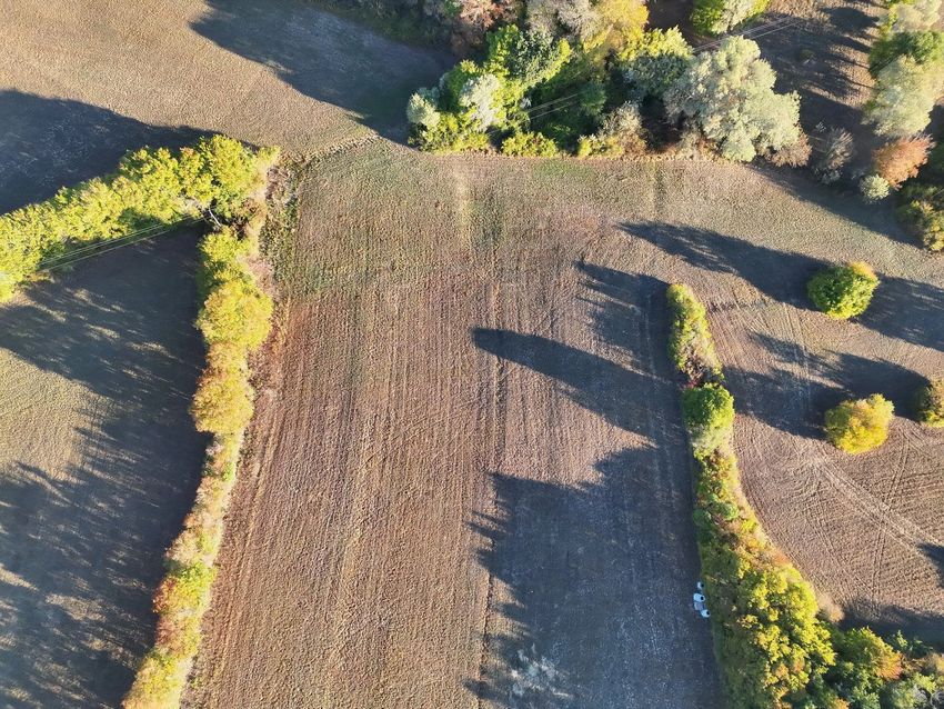Image de terrain à Saint-Pierre-de-Mézoargues