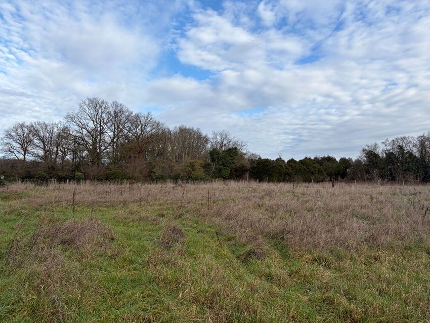 Image de terrain à Chavigny-Bailleul