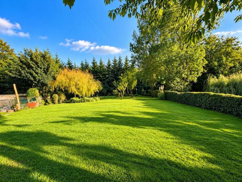Image Jardin à  maison individuelle de Rinxent