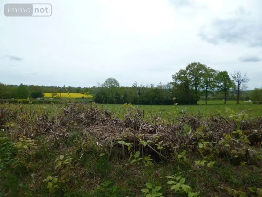 Image de terrain à Méasnes