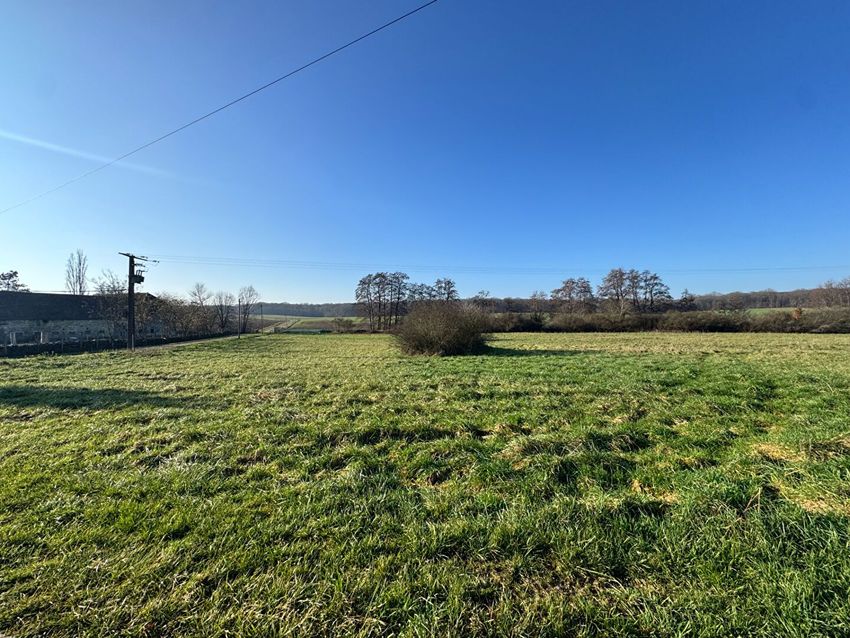 Image de terrain à Broye-les-Loups-et-Verfontaine