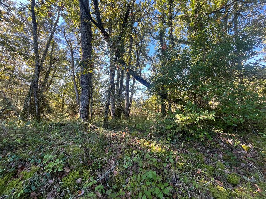 Image de terrain à Bassillac et Auberoche