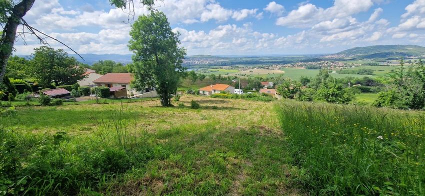 Image de terrain à Saint-Georges-sur-Allier