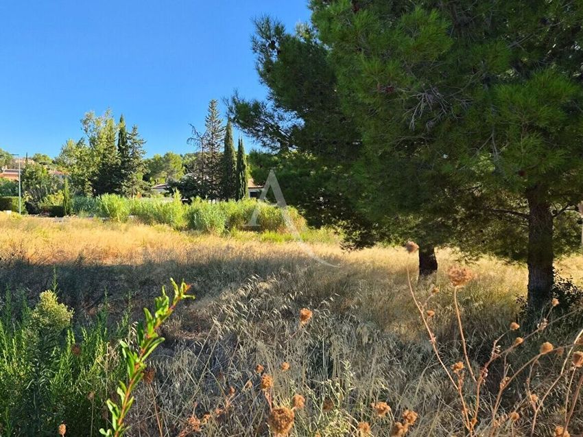 Image de terrain à Bize-Minervois
