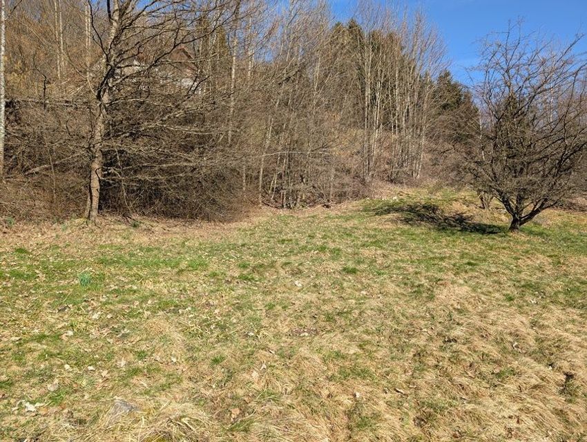 Image de terrain à La Bresse