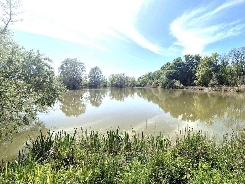 Image Vue à terrain de Précy