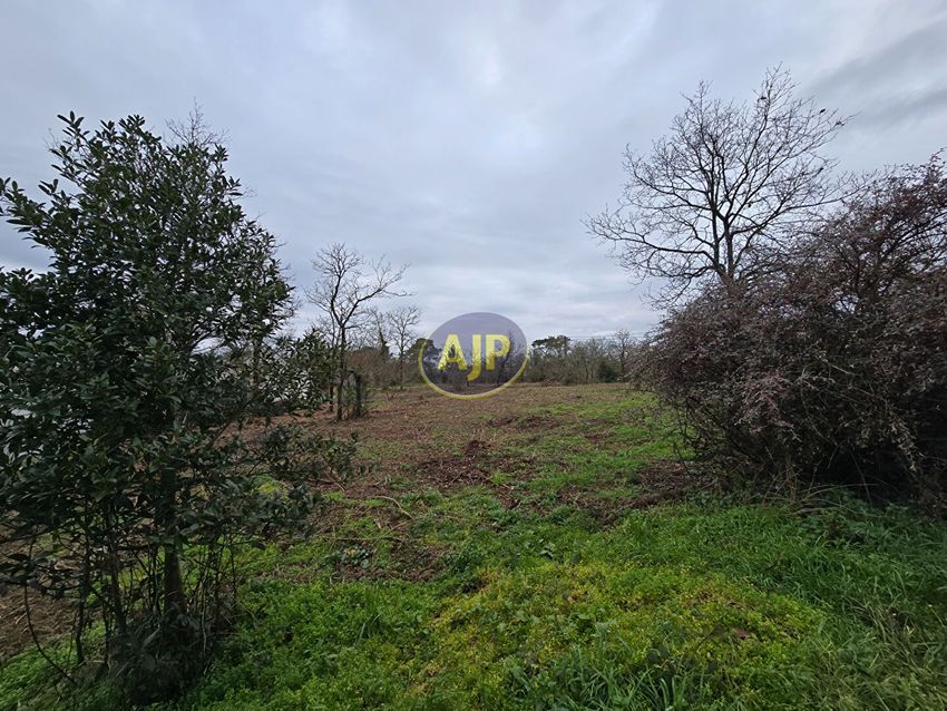 Image de terrain à Guémené-Penfao