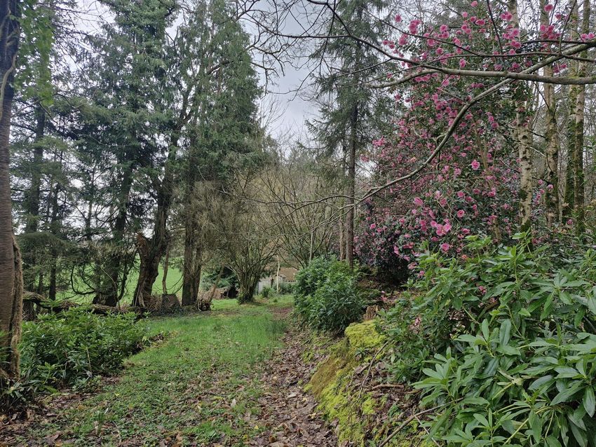 Image de terrain à Saint-Louet-sur-Vire