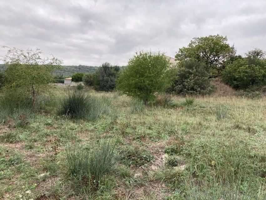 Image de terrain à Laval-Pradel