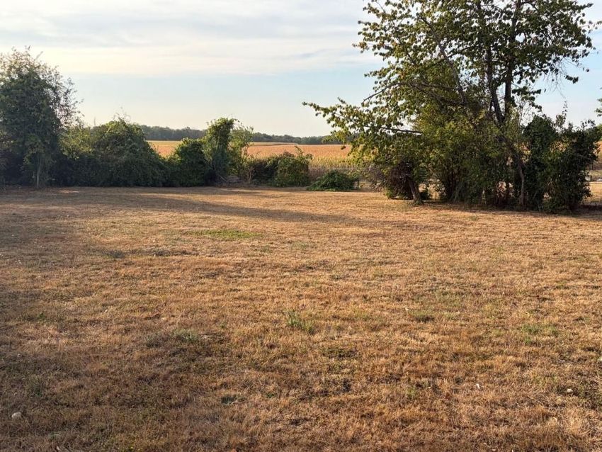 Image de terrain à La Ferté-Gaucher