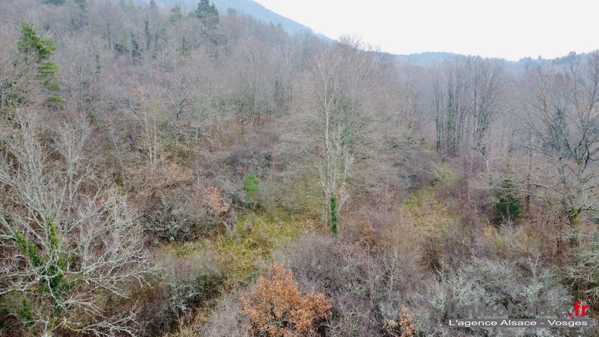 Image Vue à terrain de Saint-Dié-des-Vosges
