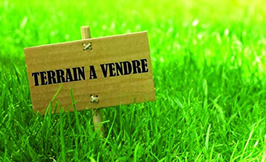 Image de terrain à Saulx-les-Chartreux