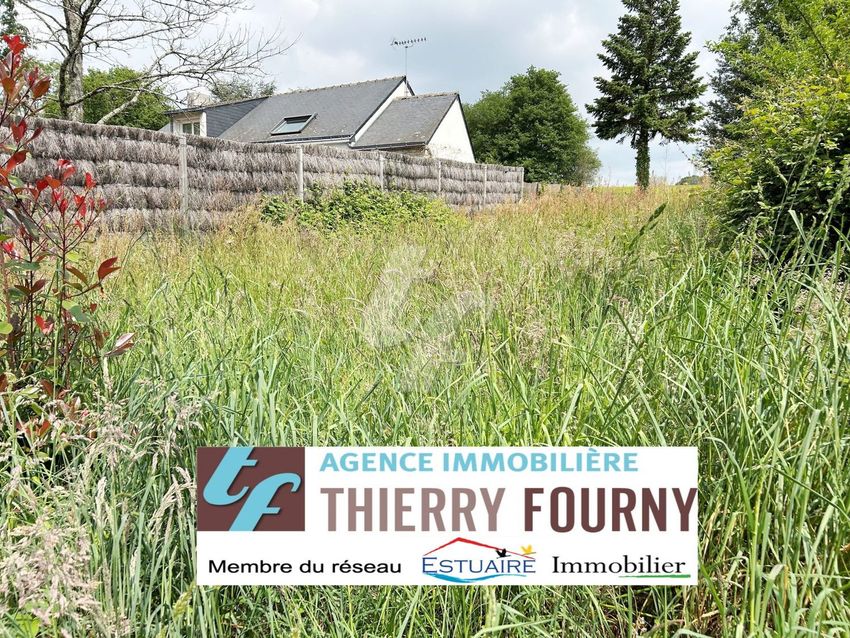 Image de terrain à Treillières