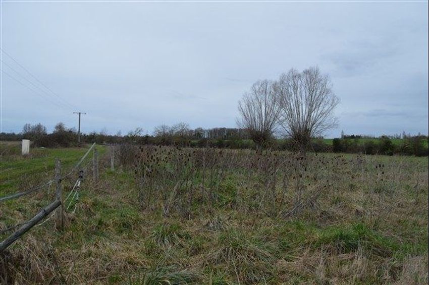 Image de terrain à Mehun-sur-Yèvre