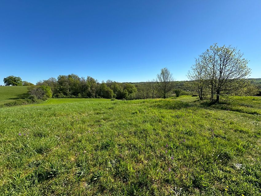 Image de terrain à Corgnac-sur-l'Isle