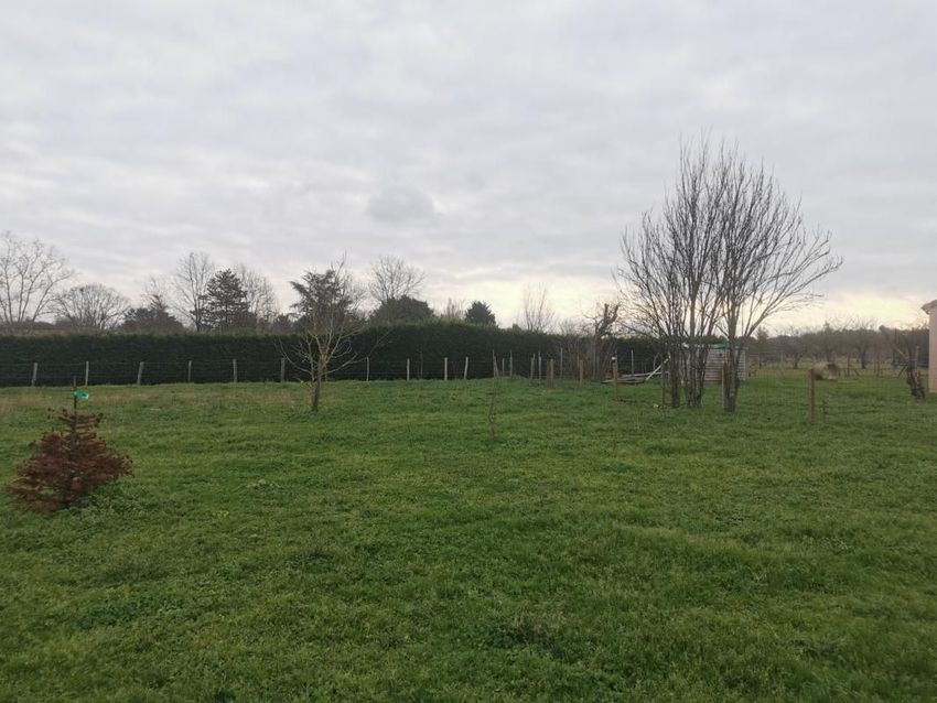 Image de terrain à Saint-Seurin-sur-l'Isle