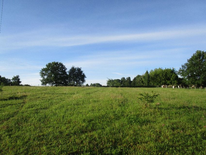 Image de terrain à Montpon-Ménestérol