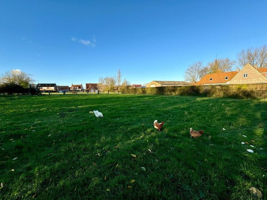 Image de terrain à Zuytpeene