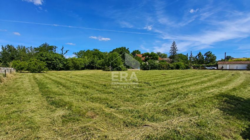 Image de terrain à Lescure-d'Albigeois