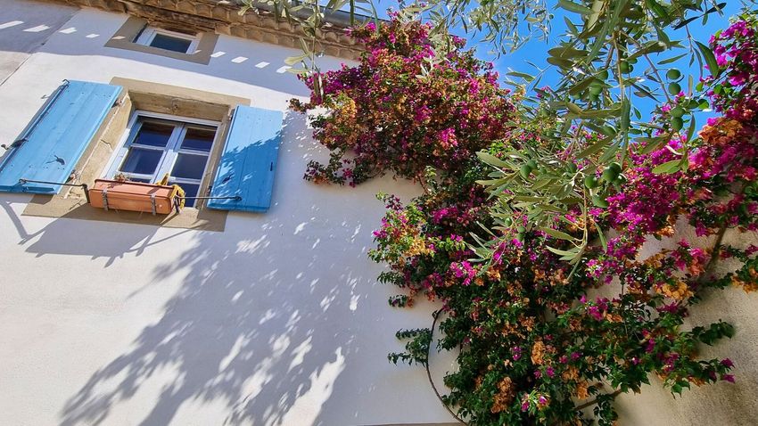 Image Façade à  maison mitoyenne de Pennautier