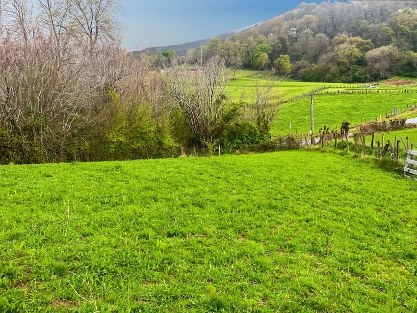Image de terrain à Ainhoa