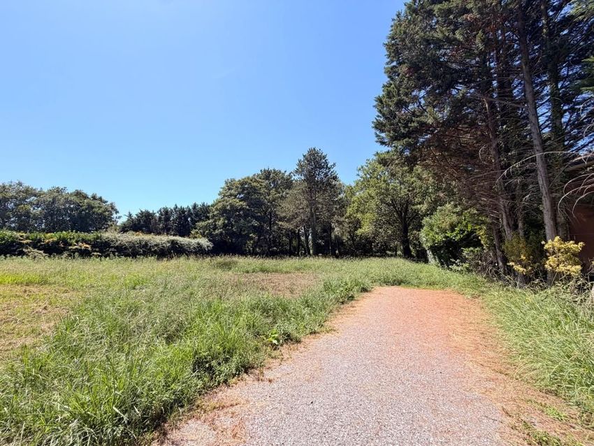 Image de terrain à Bénesse-Maremne
