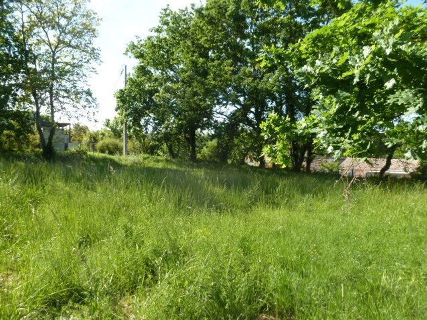 Image de terrain à Baron