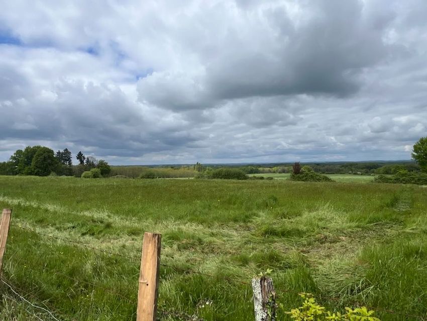 Image de terrain à Thiviers