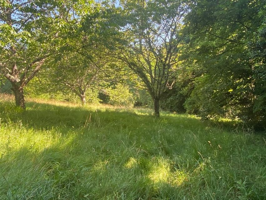 Image de terrain à Créon